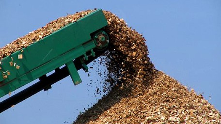 Photo of chopped up biomass.